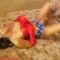 Wonder Woman Interrogation: Interrogation: Mandy Flores MF