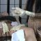 Foot Fetish Scenes – 97da3