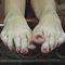 Foot Fetish Scenes – 81aa8
